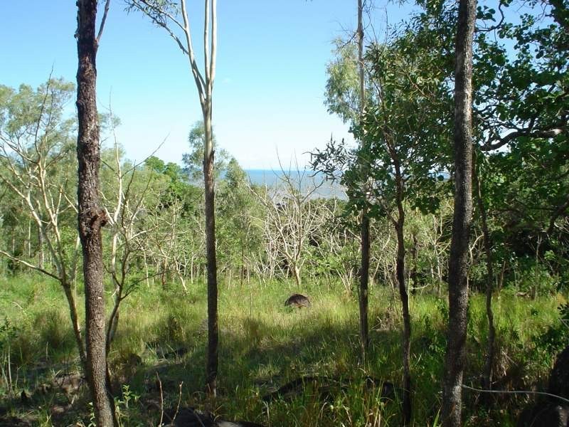 81 Conway Road, Conway QLD 4800