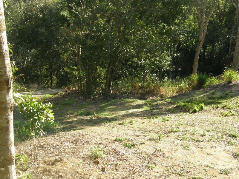 123 Kookaburra Drive, Riordanvale QLD 4800
