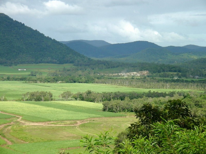 29 Staniland Drive, Strathdickie QLD 4800