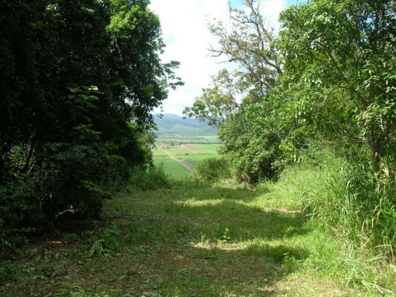 29 Staniland Drive, Strathdickie QLD 4800