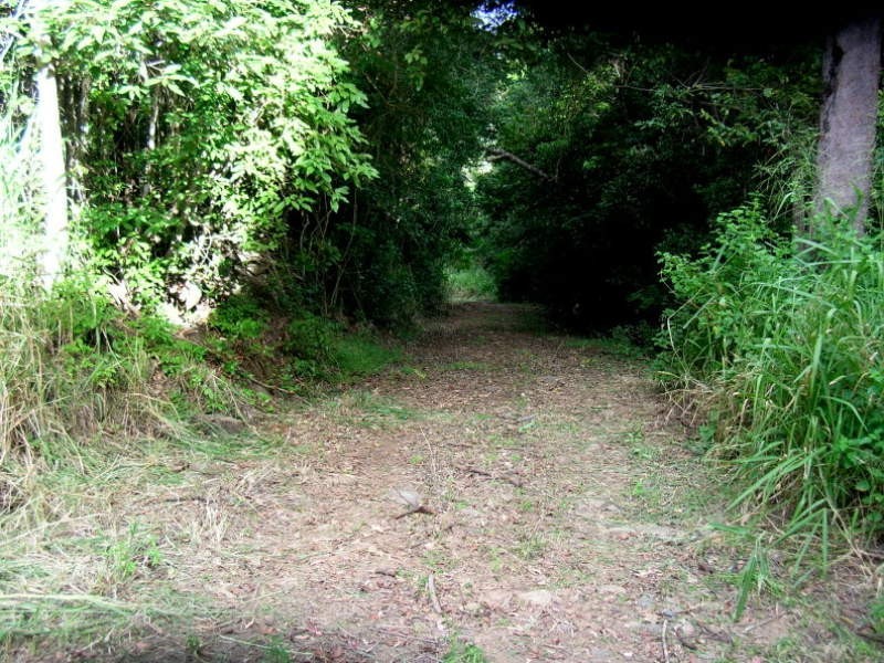 29 Staniland Drive, Strathdickie QLD 4800