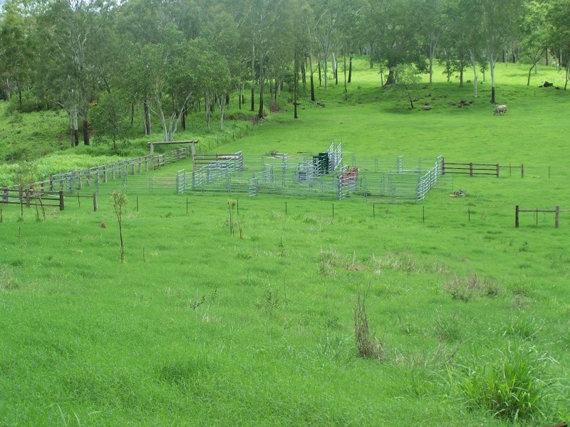 528 Barron Pocket Road, Calen QLD 4798