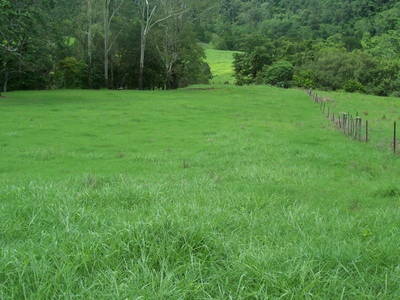528 Barron Pocket Road, Calen QLD 4798
