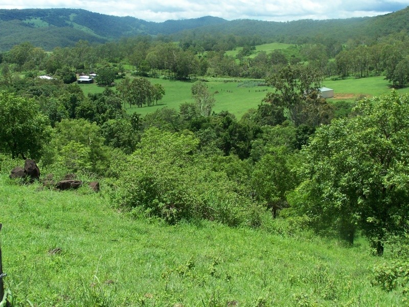 528 Barron Pocket Road, Calen QLD 4798