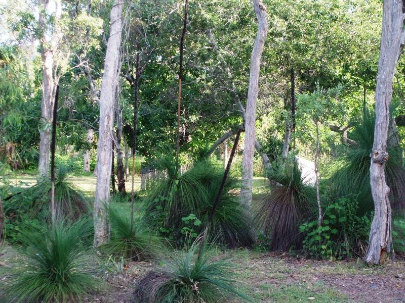 28 Murex Street, Dingo Beach QLD 4800