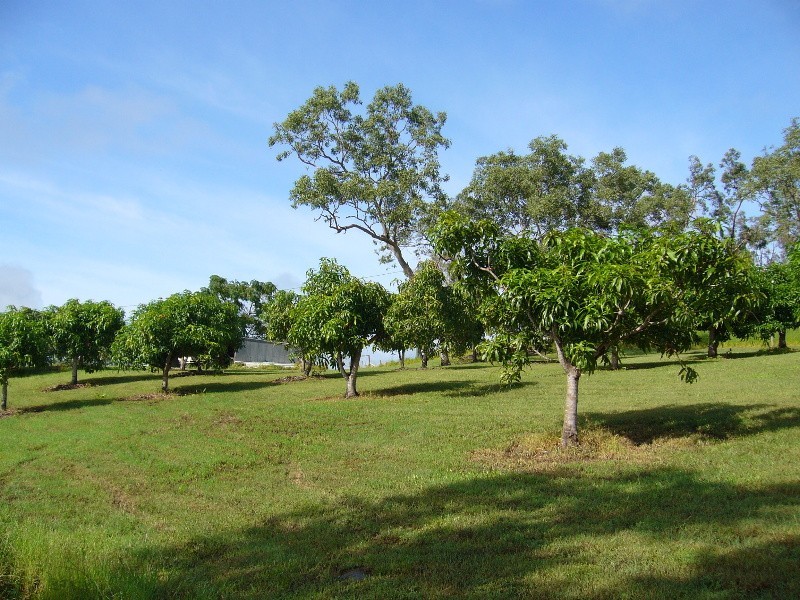 13421 Bruce Hwy, Proserpine QLD 4800