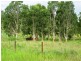Lot 60 Lindeman Drive, Bloomsbury QLD 4799