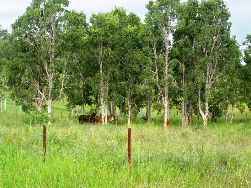 Lot 60 Lindeman Drive, Bloomsbury QLD 4799
