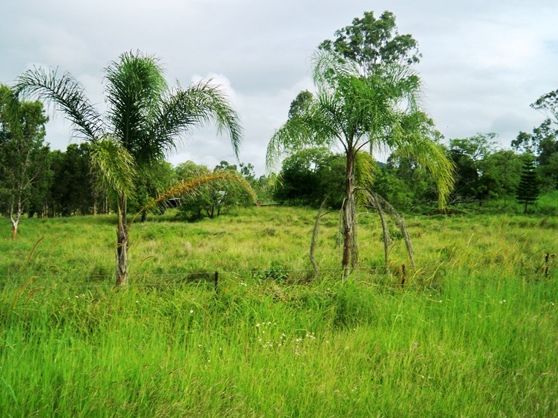 Lot 60 Lindeman Drive, Bloomsbury QLD 4799