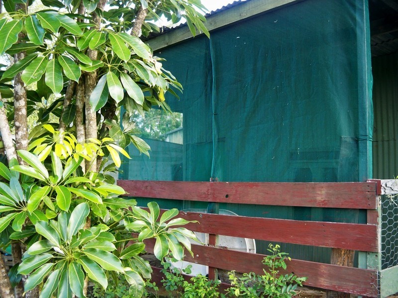 Lot 60 Lindeman Drive, Bloomsbury QLD 4799