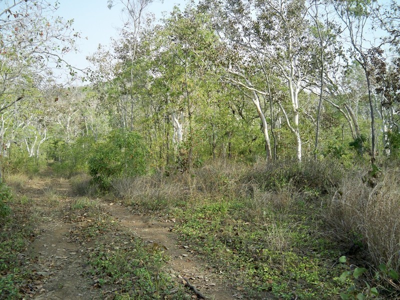 Lot 2 Lelona Drive, Bloomsbury QLD 4799