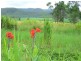 17 Monaghan Rd, Conway QLD 4800