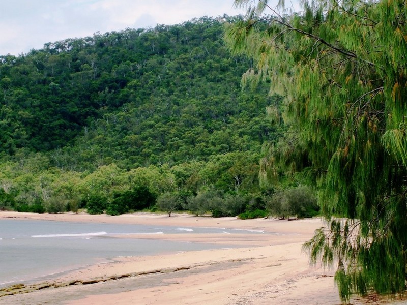 51 Trochus Street, Dingo Beach QLD 4800