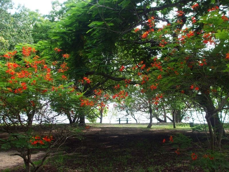 17 Pioneer Drive, Dingo Beach QLD 4800