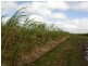 1 Casswell Road, Proserpine QLD 4800