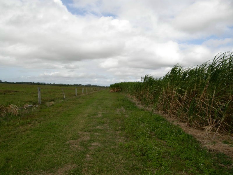 1 Casswell Road, Proserpine QLD 4800