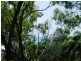 37 Gloucester Avenue, Hideaway Bay QLD 4800