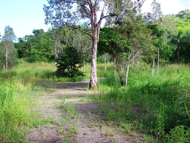 Lot 101 Moodys Road, Proserpine QLD 4800