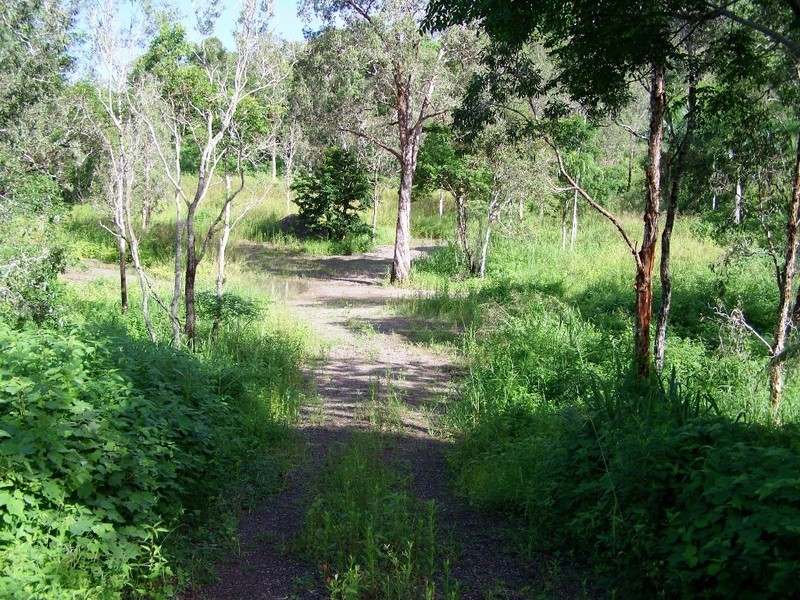 Lot 101 Moodys Road, Proserpine QLD 4800