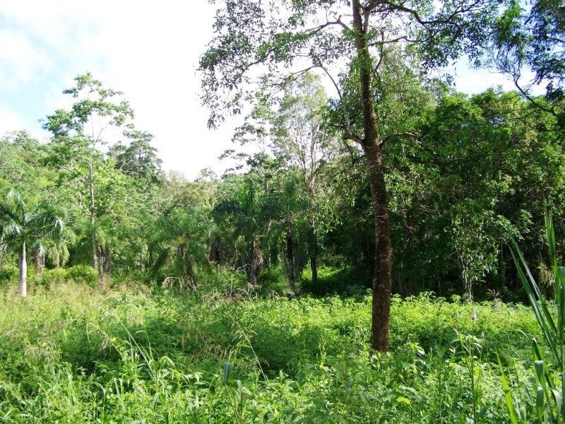 Lot 101 Moodys Road, Proserpine QLD 4800