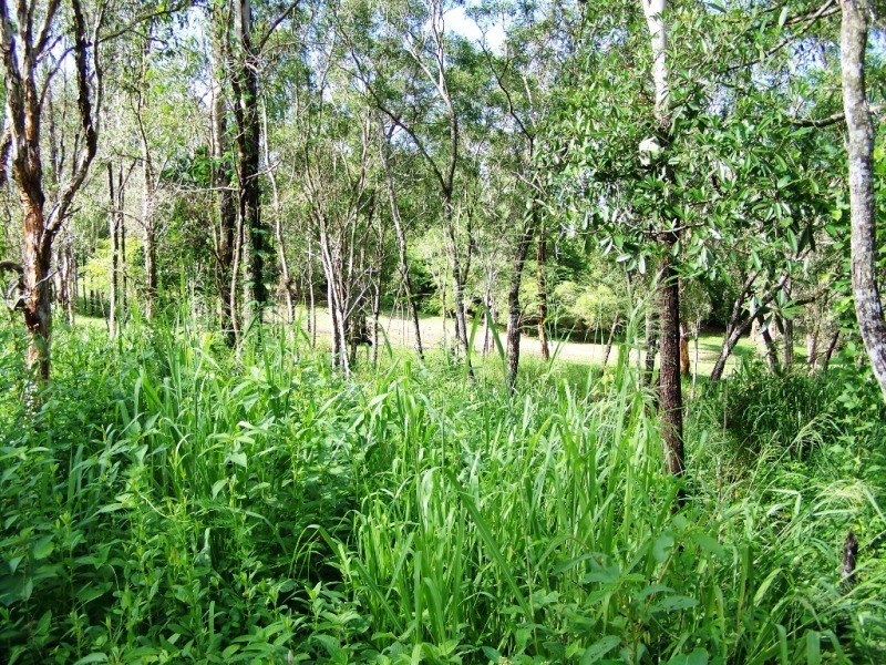 Lot 101 Moodys Road, Proserpine QLD 4800