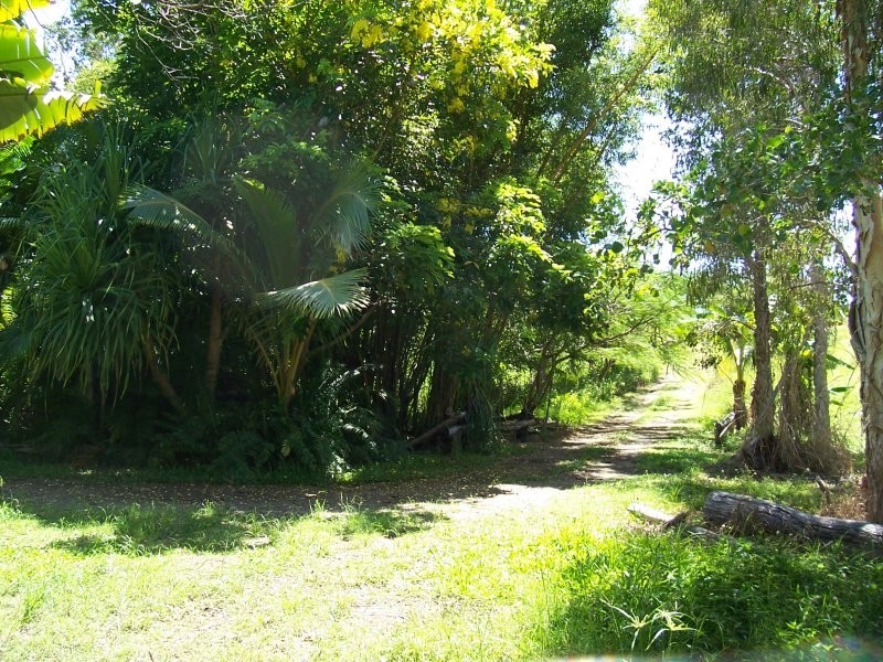131 Whitsunday Drive, Bloomsbury QLD 4799