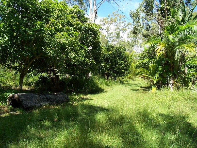 131 Whitsunday Drive, Bloomsbury QLD 4799