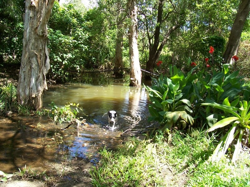 131 Whitsunday Drive, Bloomsbury QLD 4799