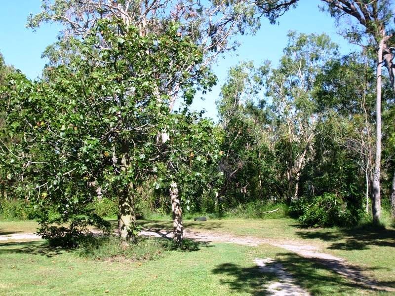 34A Cowry Crescent, Dingo Beach QLD 4800