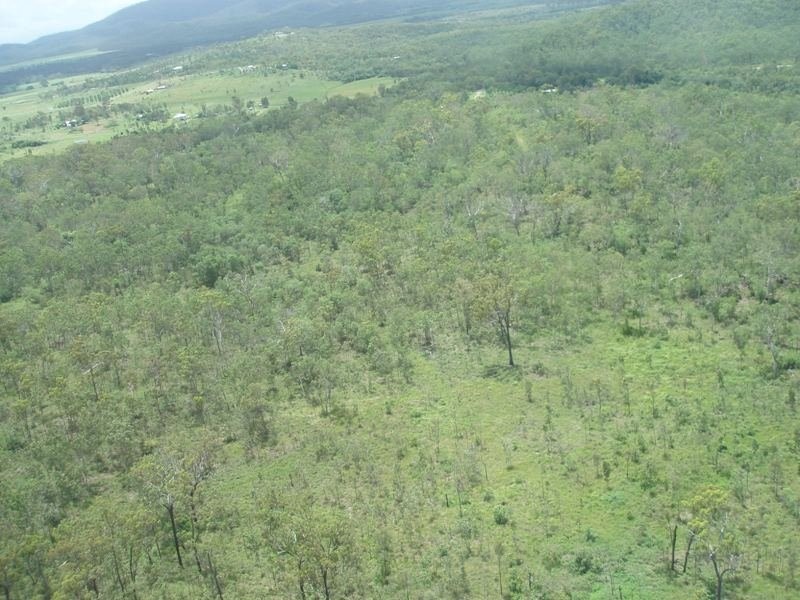 Lot 8 Mango Ridge Estate, Bloomsbury QLD 4799