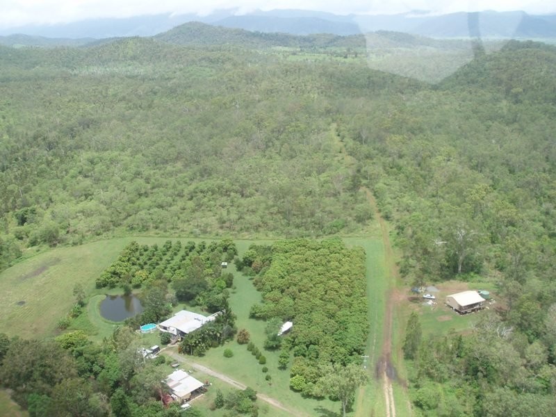 Lot 9 Mango Ridge Estate, Bloomsbury QLD 4799