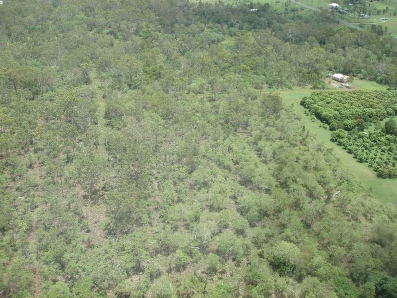 Lot 9 Mango Ridge Estate, Bloomsbury QLD 4799