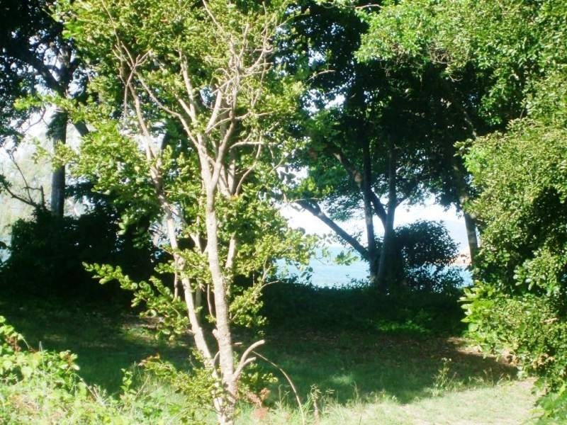 58 Gloucester Avenue, Hideaway Bay QLD 4800