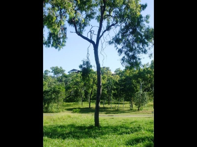 58 Gloucester Avenue, Hideaway Bay QLD 4800