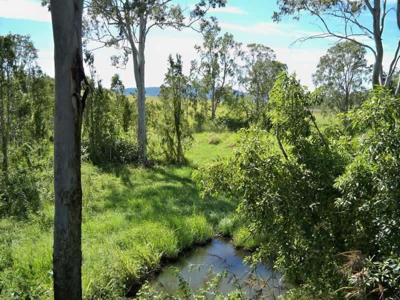 LOT 165 Whitsunday Drive, Bloomsbury QLD 4799