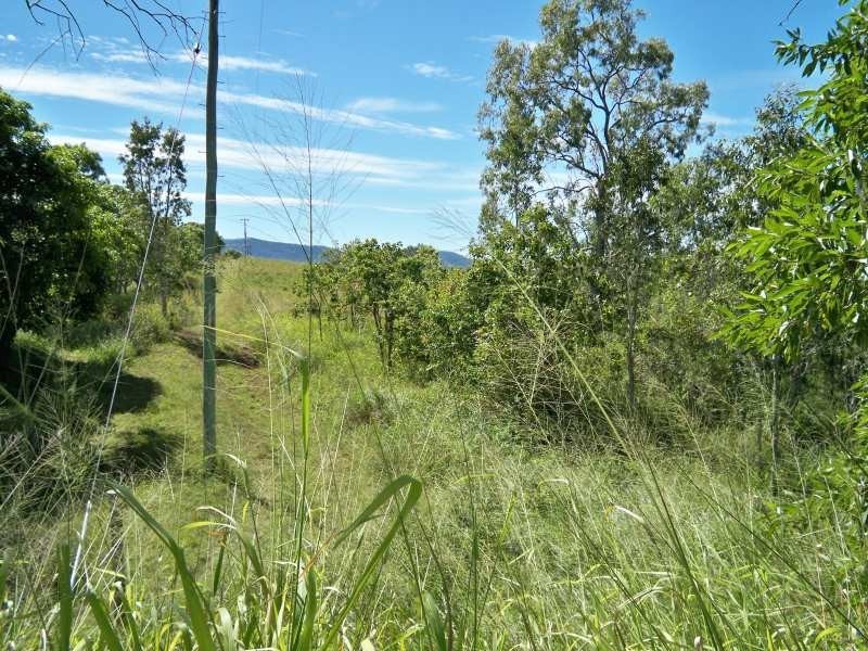LOT 165 Whitsunday Drive, Bloomsbury QLD 4799