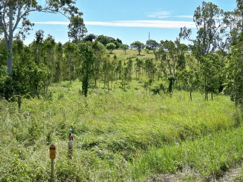 LOT 165 Whitsunday Drive, Bloomsbury QLD 4799