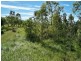 LOT 165 Whitsunday Drive, Bloomsbury QLD 4799