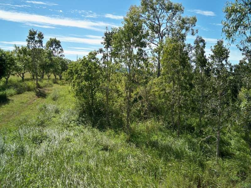 LOT 165 Whitsunday Drive, Bloomsbury QLD 4799