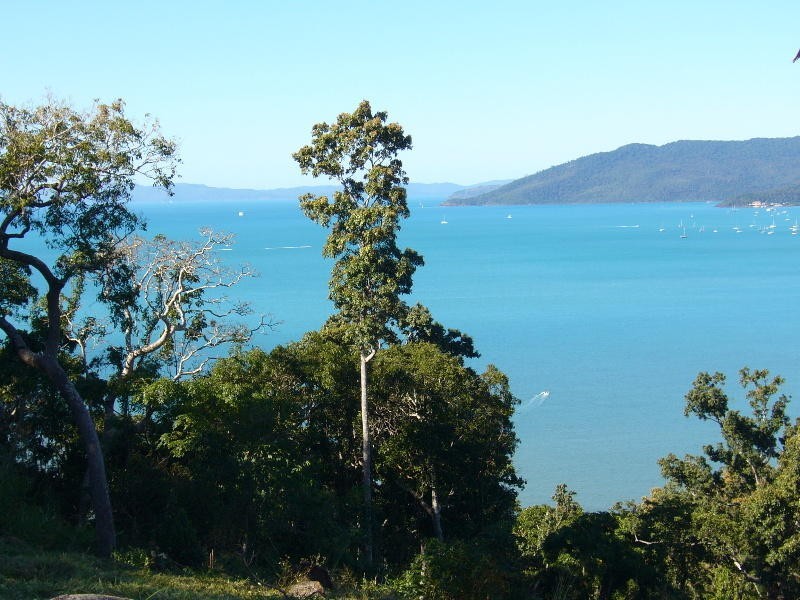 Lot 44 Botanica Drive, Cannonvale QLD 4802