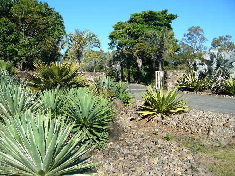 Lot 44 Botanica Drive, Cannonvale QLD 4802