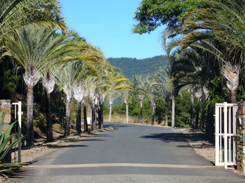 Lot 44 Botanica Drive, Cannonvale QLD 4802