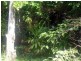 Lot 73 Leeder Road, Conway QLD 4800