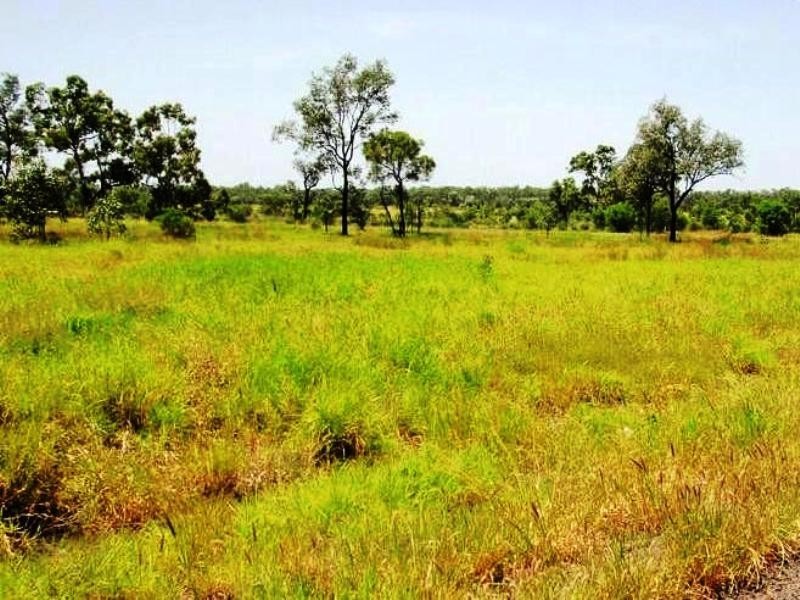 3 and 5  Jack Pyne Drive, Capella QLD 4723