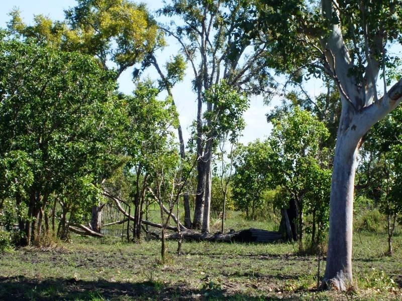 208 Klaka Road, Home Hill QLD 4806