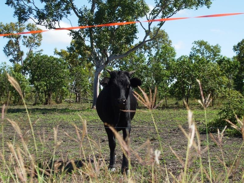 208 Klaka Road, Home Hill QLD 4806