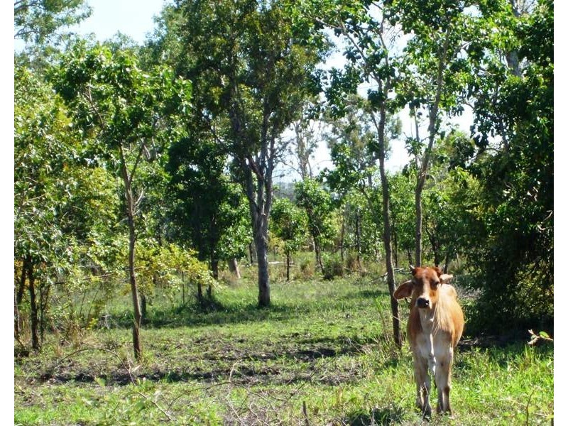 208 Klaka Road, Home Hill QLD 4806