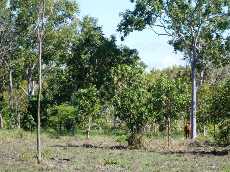 208 Klaka Road, Home Hill QLD 4806