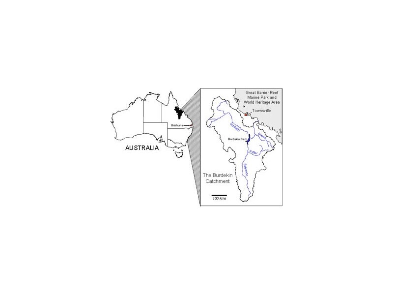 208 Klaka Road, Home Hill QLD 4806