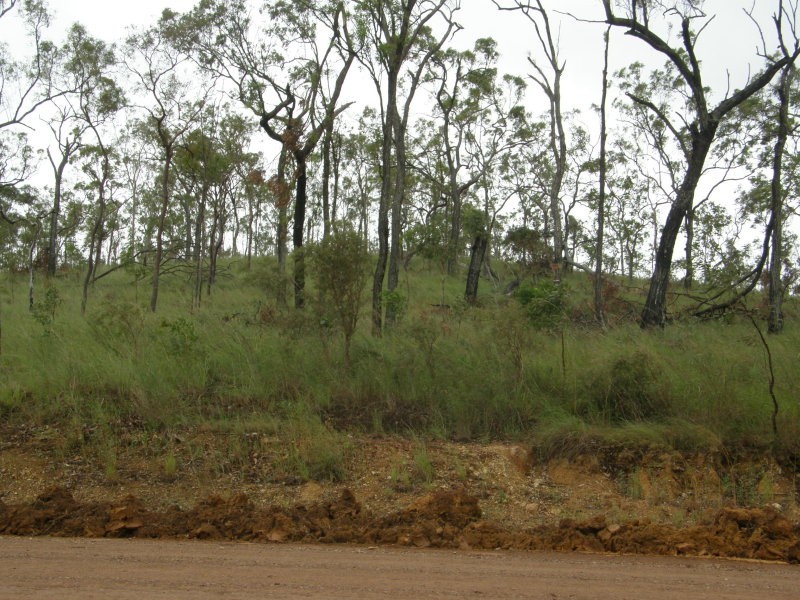 Lot 10 Thorogood Rd, Kelsey Creek QLD 4800